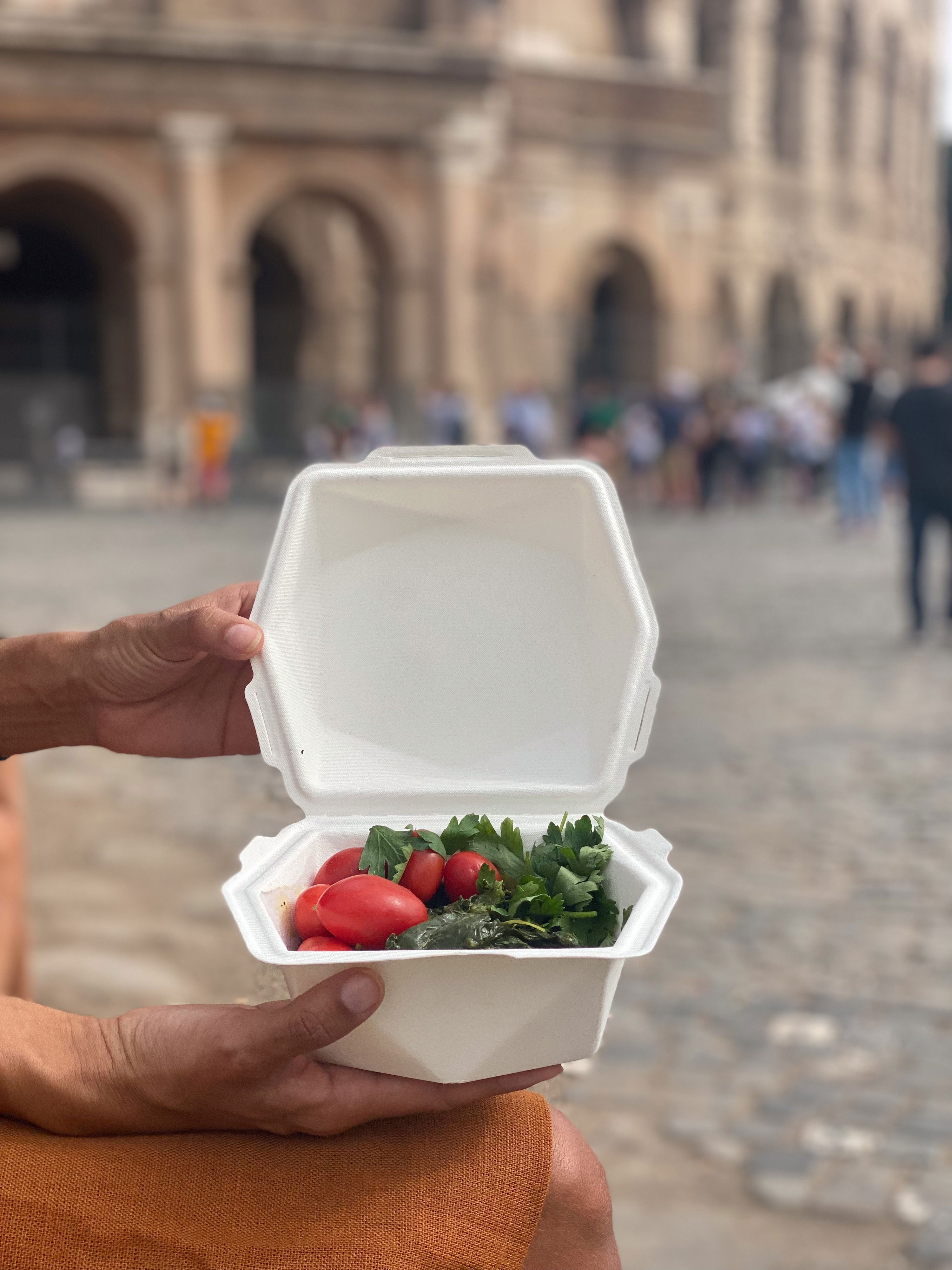 CÂSCARA DE COMIDA S CANTIDAD 100