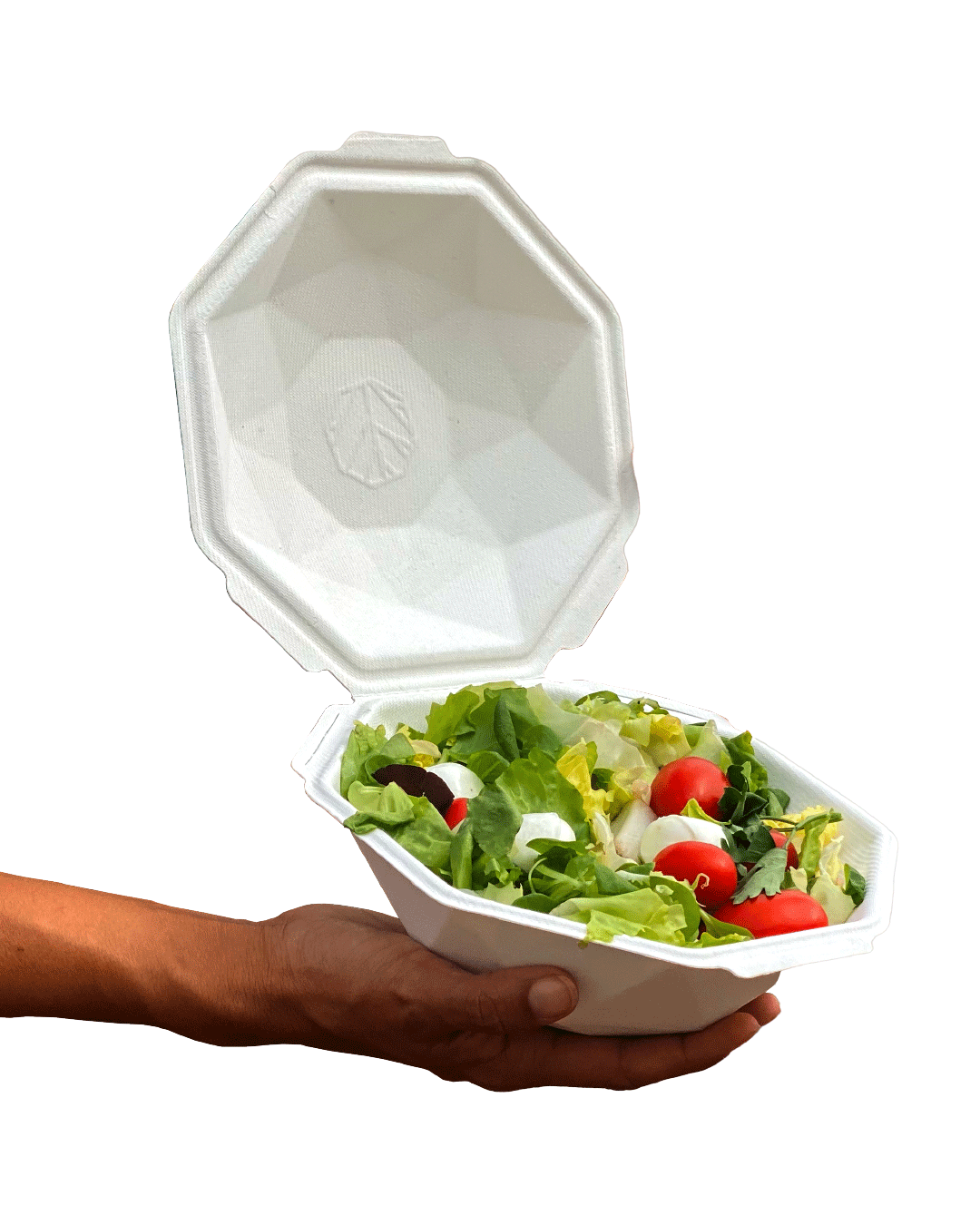 CÂSCARA DE COMIDA M