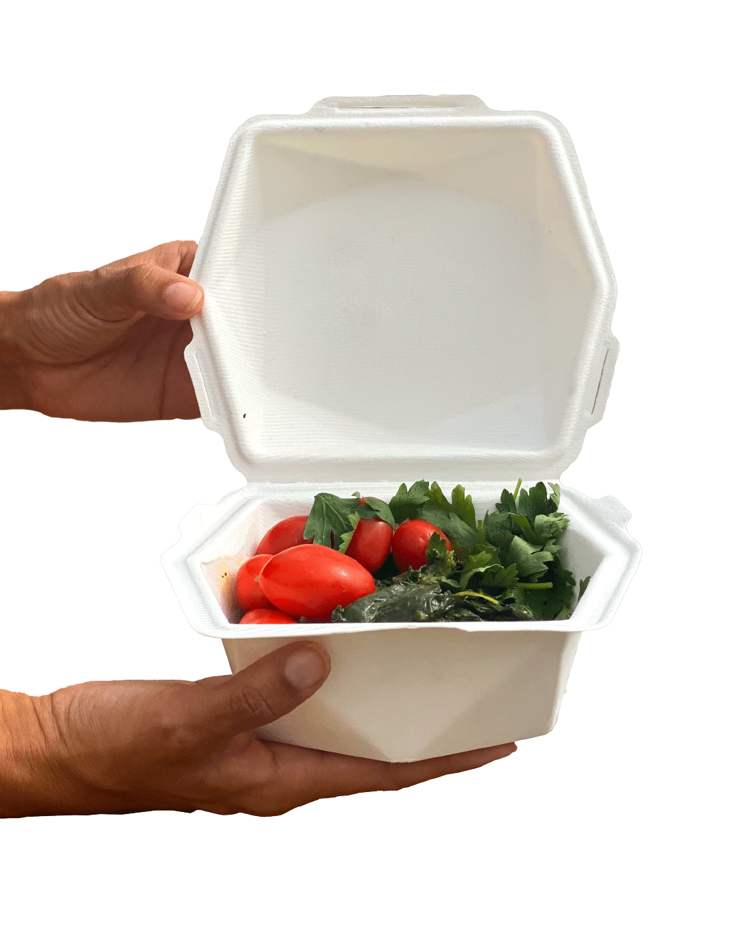 CÂSCARA DE COMIDA S CANTIDAD 100