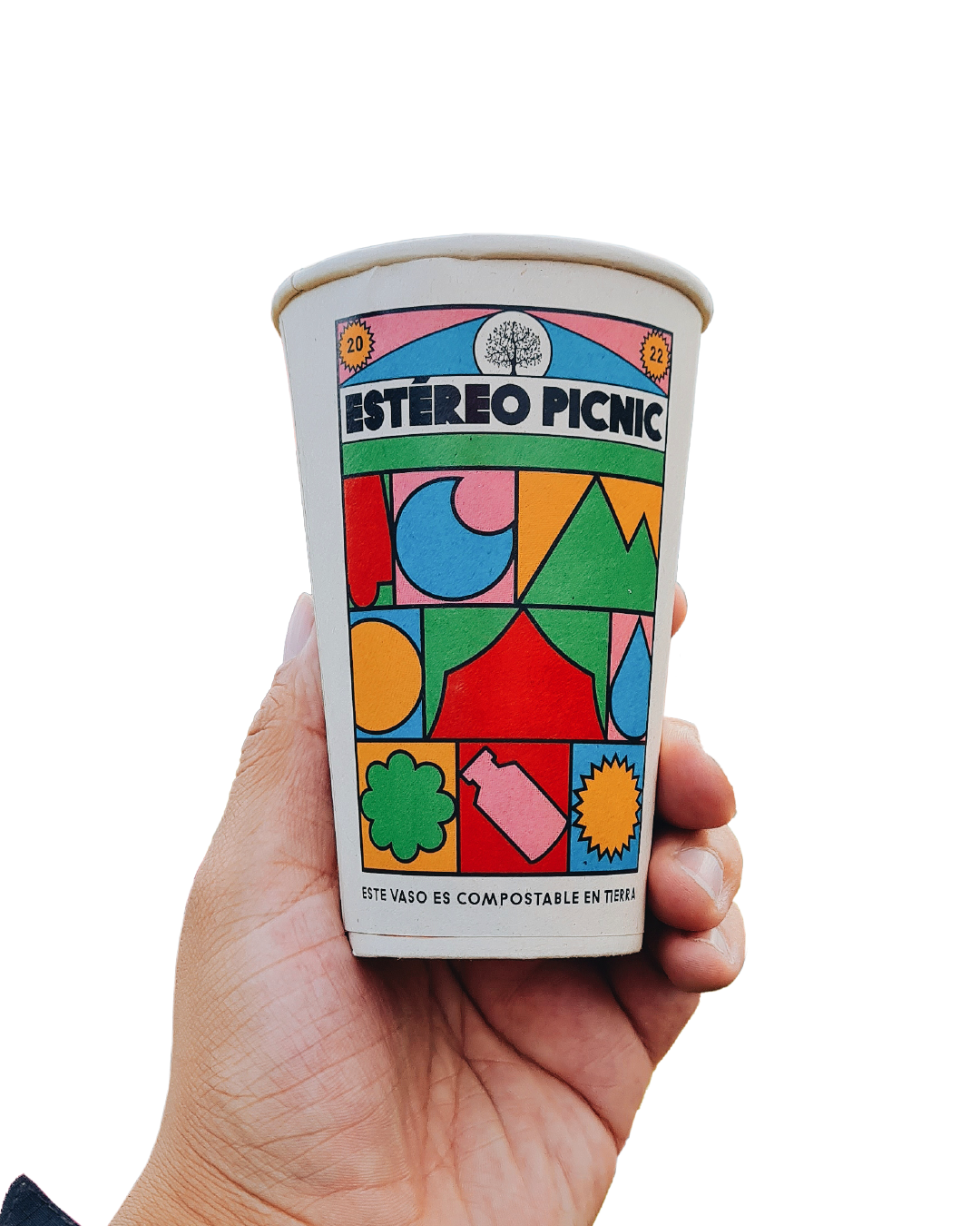 VASOS CÁSCARA