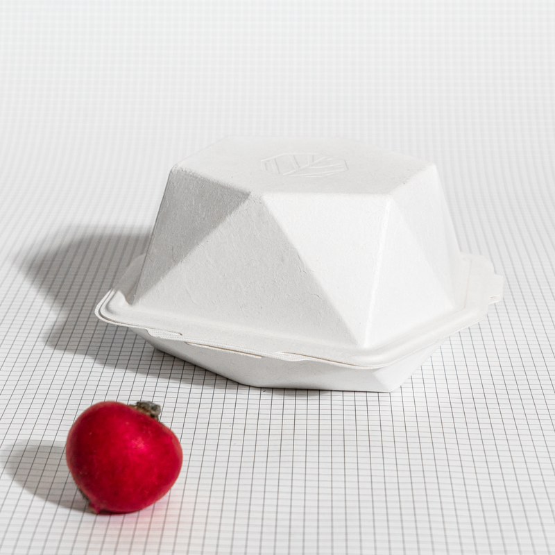 CÂSCARA DE COMIDA S